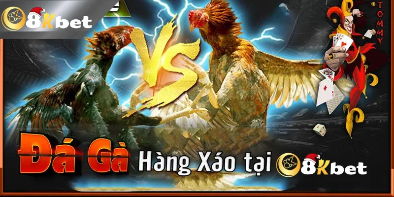 Kinh Nghiệm Đá Gà Hàng Xáo