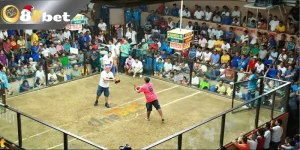 Bí Quyết Đá Gà Trực Tiếp Hôm Nay