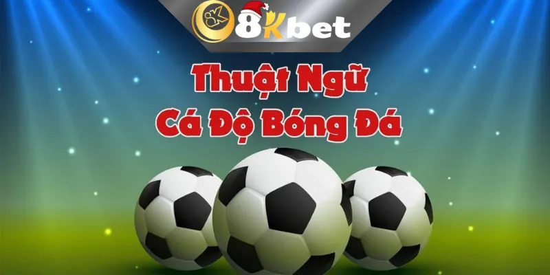 Tổng Hợp Các Thuật Ngữ Cá Độ Bóng Đá